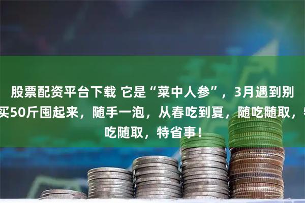 股票配资平台下载 它是“菜中人参”，3月遇到别手软，买50斤囤起来，随手一泡，从春吃到夏，随吃随取，特省事！