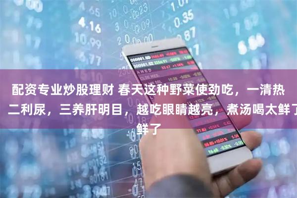 配资专业炒股理财 春天这种野菜使劲吃，一清热，二利尿，三养肝明目，越吃眼睛越亮，煮汤喝太鲜了